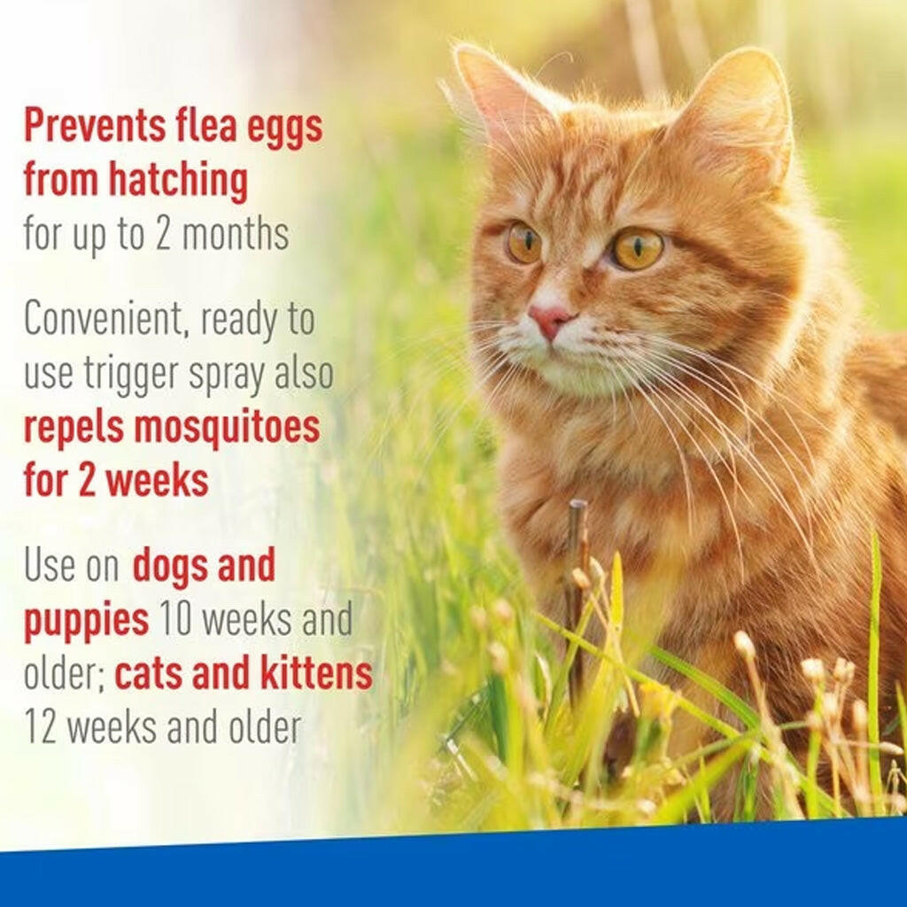 Adams Plus Flea and Tick Spray For Dogs & Cats
