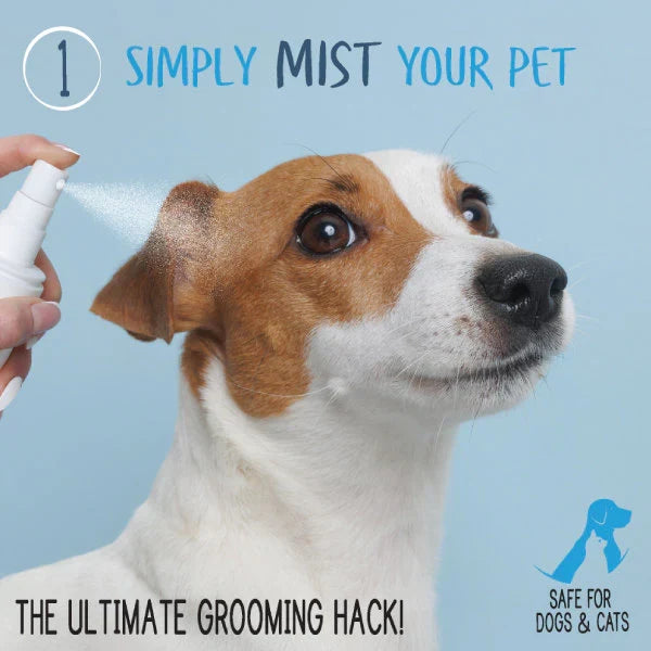 Adore Pet Waterless Shampoo for Dogs & Cats - 8-oz