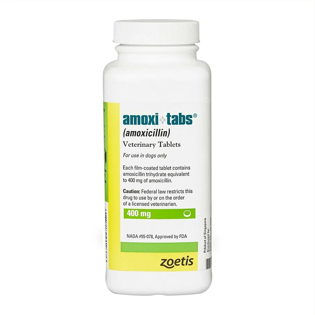 Amoxi-Tabs (Amoxicillin) Tablets for Dogs & Cats