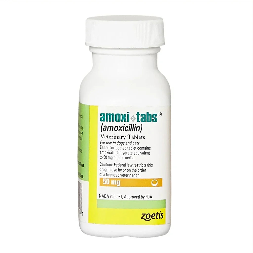 Amoxi-Tabs (Amoxicillin) Tablets for Dogs & Cats