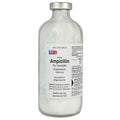 Ampicillin (generic) Injection 25g (200 ml)