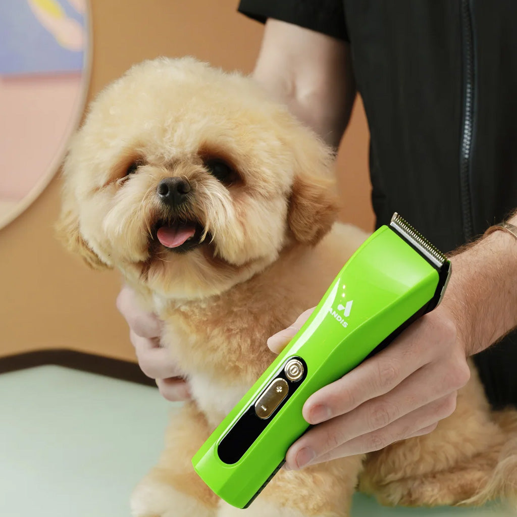 Andis ProClip 5-in-1 Clipper Green