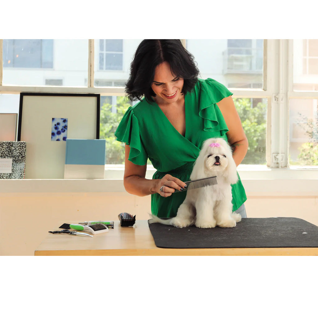 Andis Steel Pet Comb