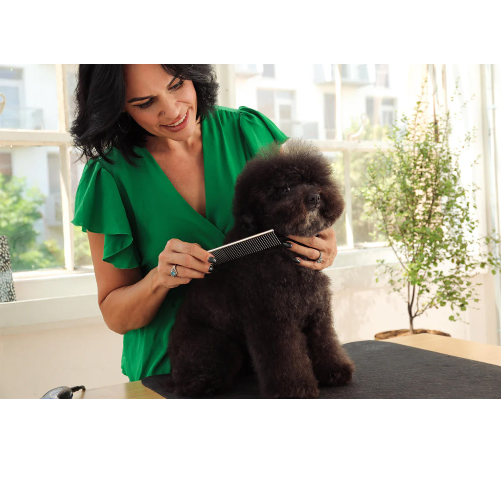 Andis Steel Pet Comb