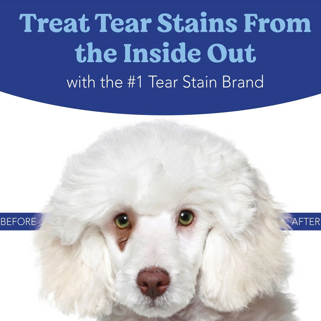 Angel's Eyes Natural Plus Powder Supplement for Dogs