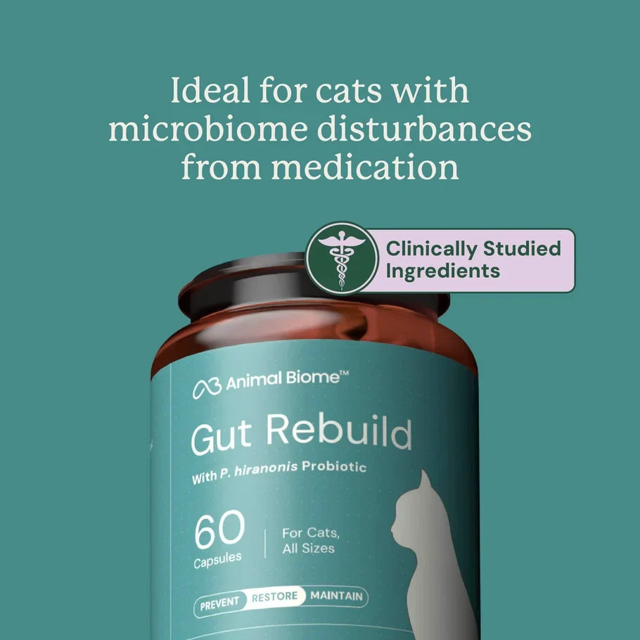 Animal Biome Gut Rebuild for Cats, 60 count