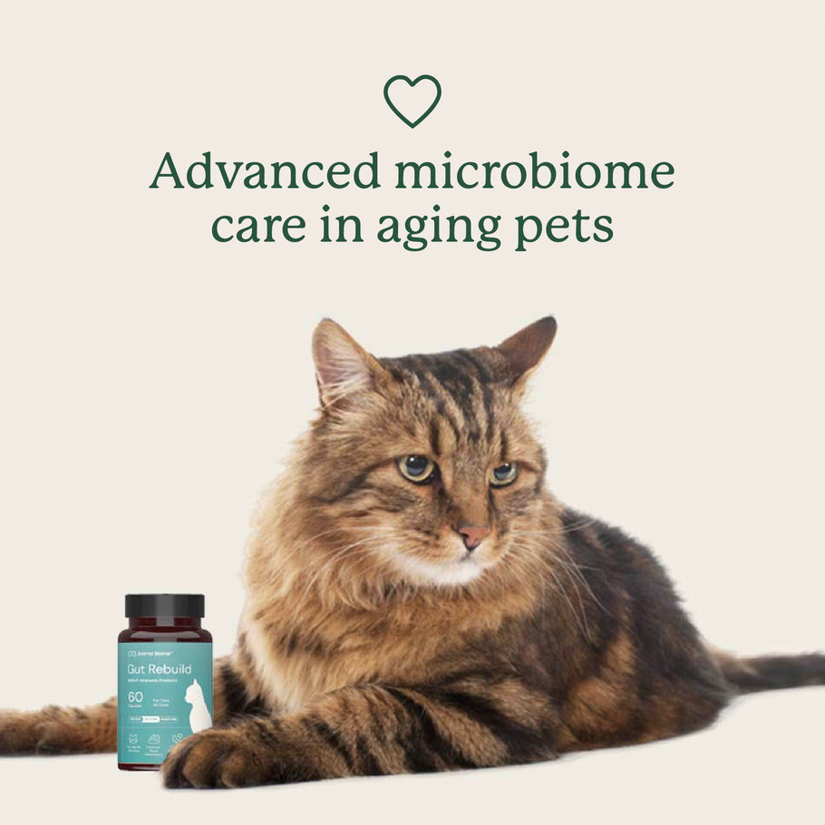 Animal Biome Gut Rebuild for Cats, 60 count