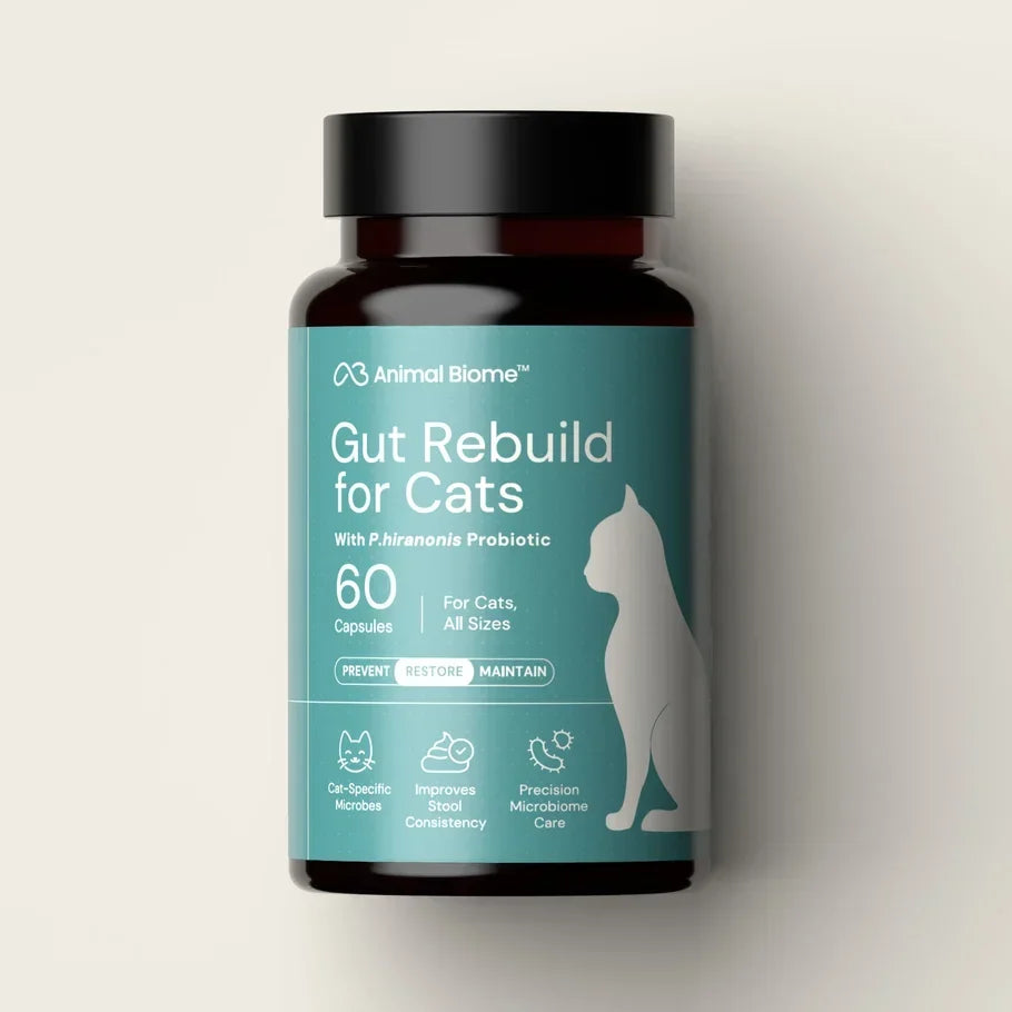 Animal Biome Gut Rebuild for Cats, 60 count