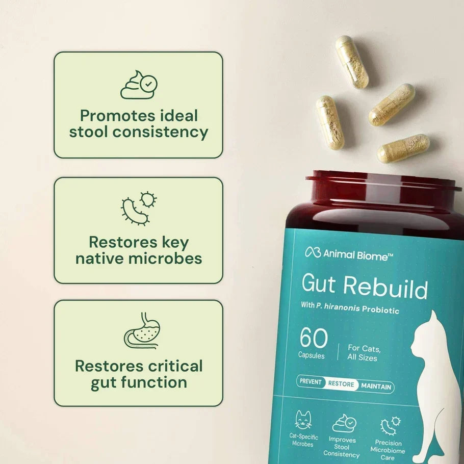 Animal Biome Gut Rebuild for Cats, 60 count