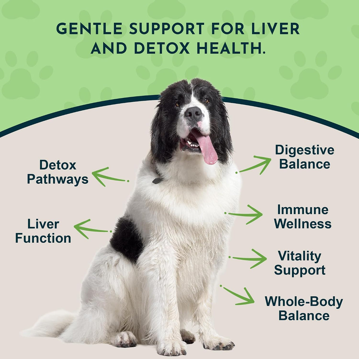 Animal Essentials Herbal Capsules Milk Thistle Supports Healthy Liver Function for Dogs & Cats, 30-count
