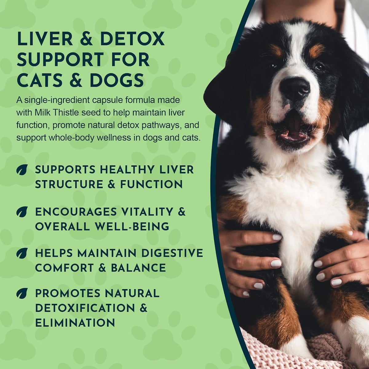 Animal Essentials Herbal Capsules Milk Thistle Supports Healthy Liver Function for Dogs & Cats, 30-count