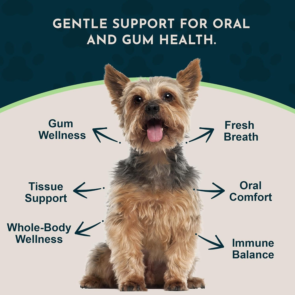 Animal Essentials Herbal Formula Healthy Gums for Dogs & Cats, 1-oz