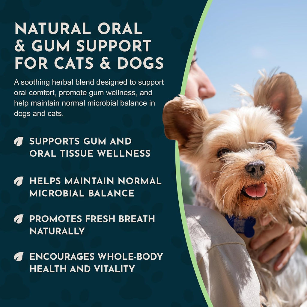 Animal Essentials Herbal Formula Healthy Gums for Dogs & Cats, 1-oz