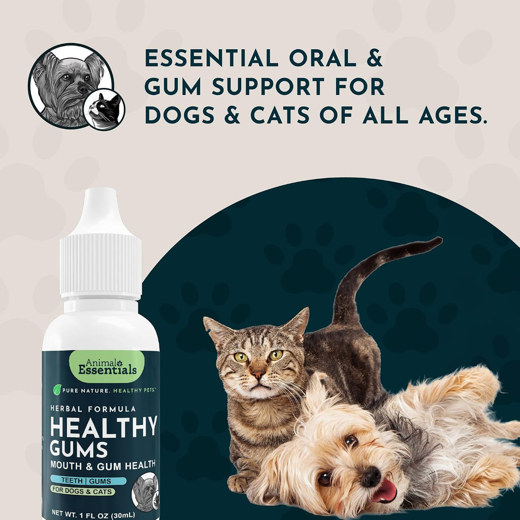 Animal Essentials Herbal Formula Healthy Gums for Dogs & Cats, 1-oz