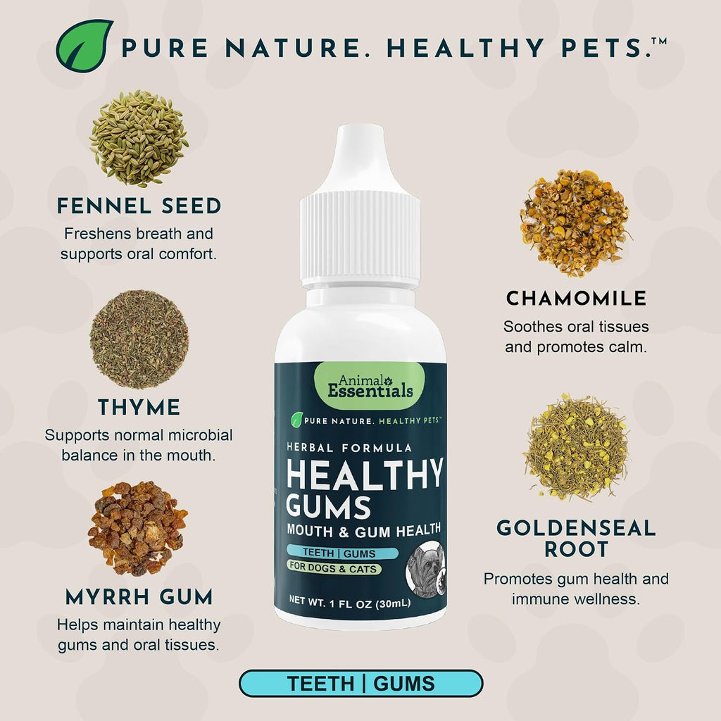 Animal Essentials Herbal Formula Healthy Gums for Dogs & Cats, 1-oz