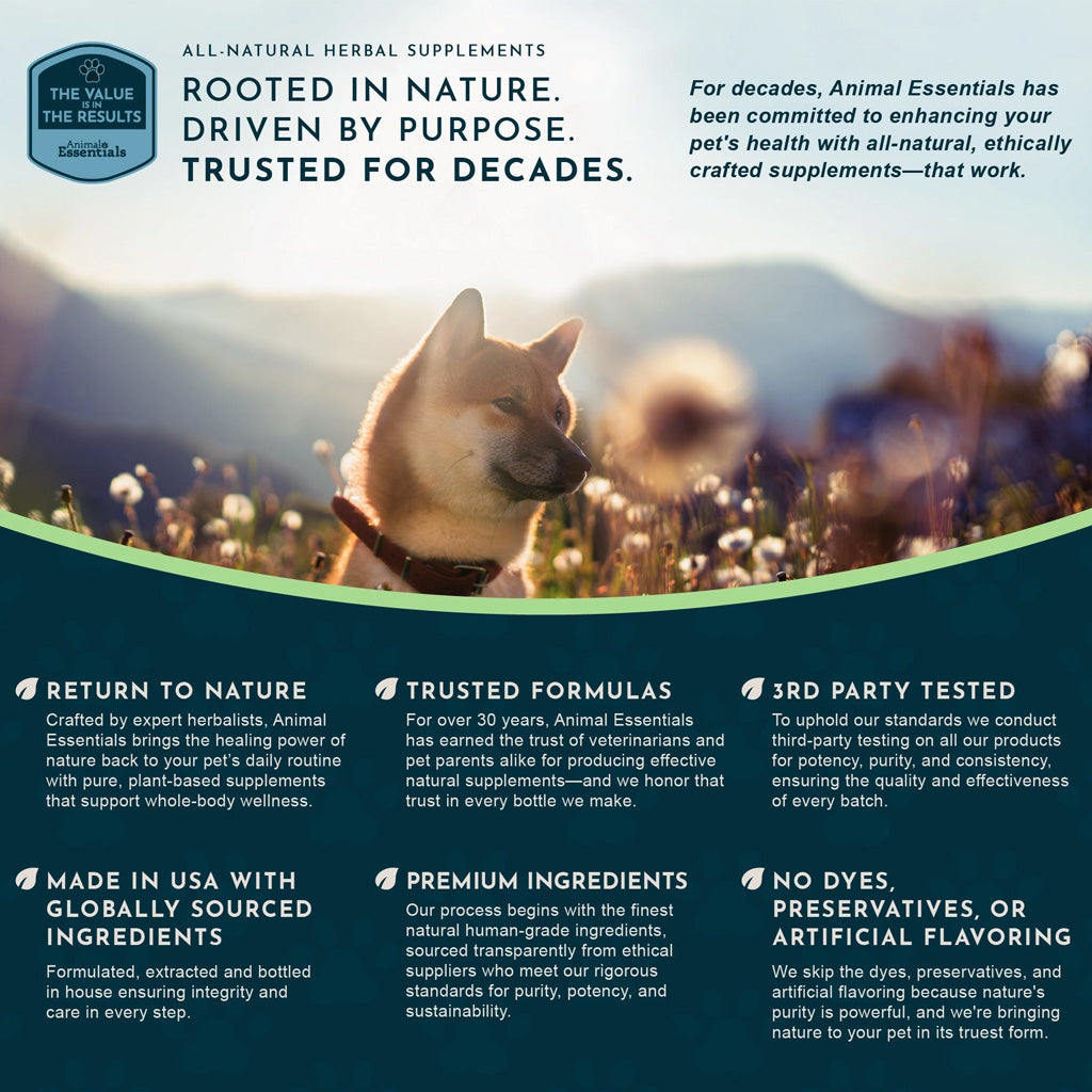 Animal Essentials Herbal Tonic Blend Ginkgo Supports Healthy Circulation & Cognition for Dogs & Cats