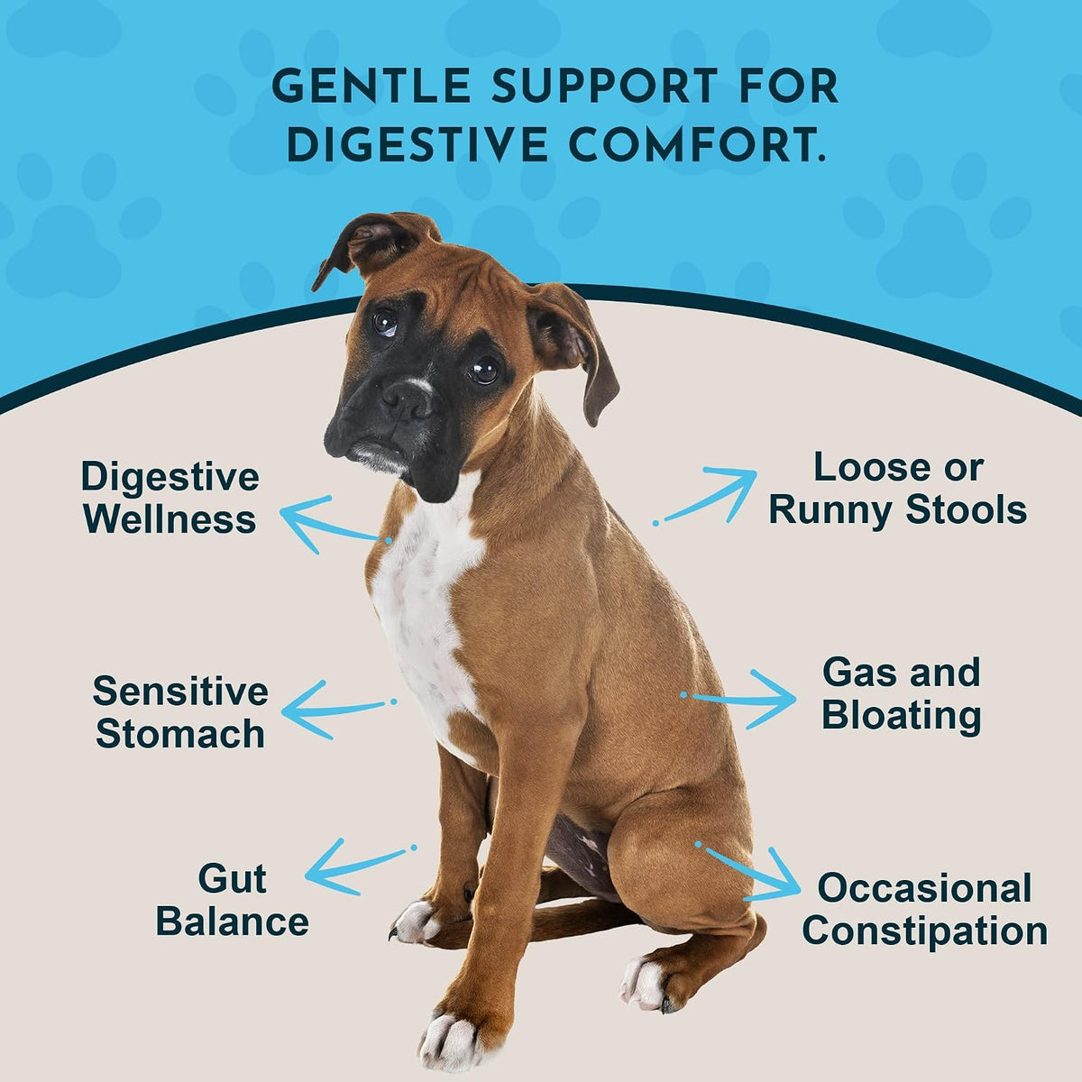 Animal Essentials Herbal Tonic Blend Healthy Gut Prebiotic for Intestinal Well-Being for Dogs & Cats