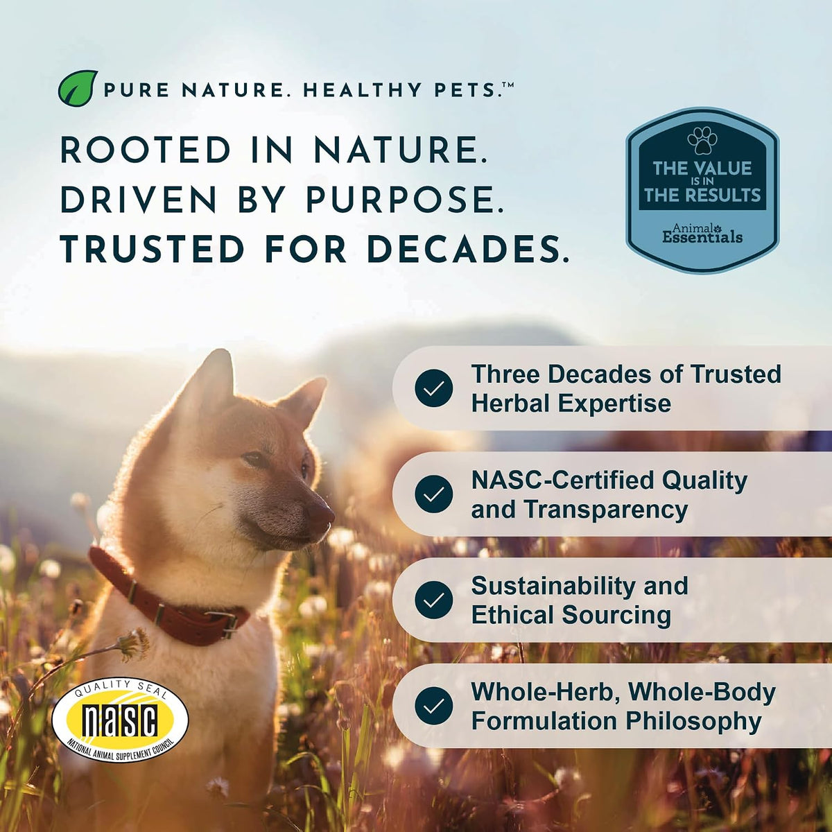 Animal Essentials Herbal Tonic Blend Joint Support Helps Stiffness & Soreness for Dogs & Cats