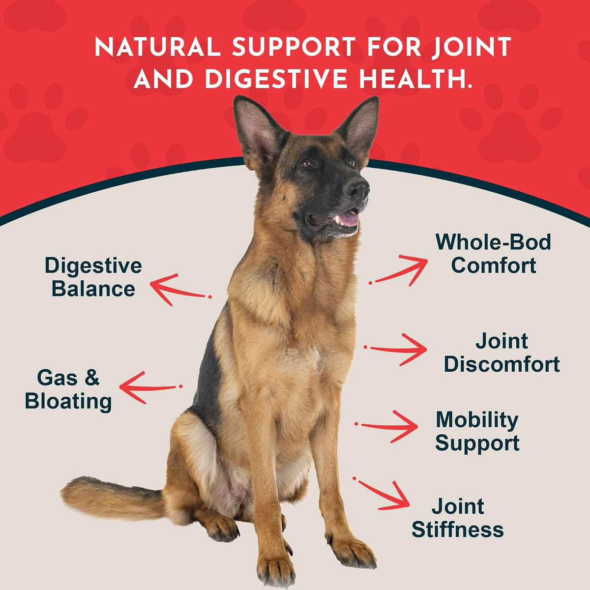 Animal Essentials Herbal Tonic Blend Joint Support Helps Stiffness & Soreness for Dogs & Cats