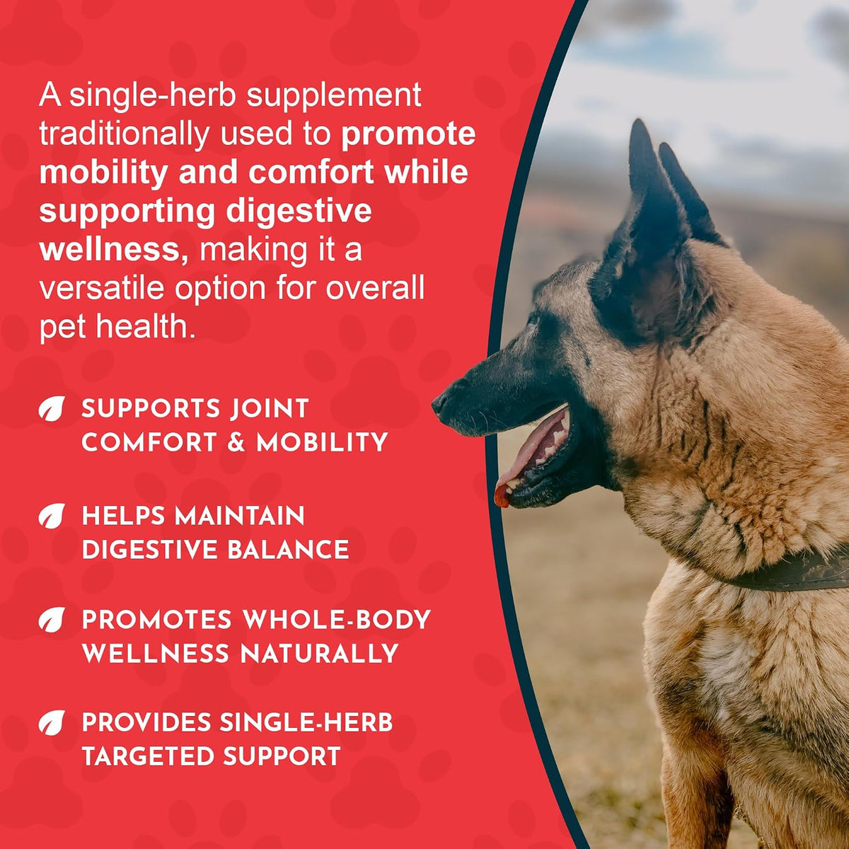 Animal Essentials Herbal Tonic Blend Joint Support Helps Stiffness & Soreness for Dogs & Cats