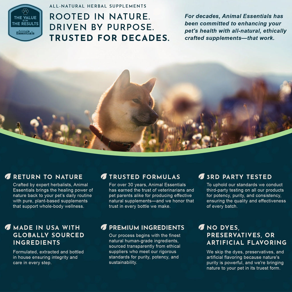 Animal Essentials Herbal Tonic Blend Liver Defense for Dogs & Cats