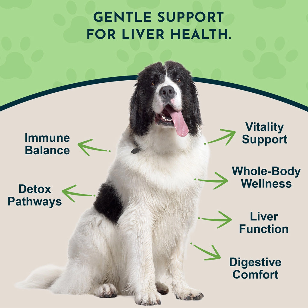 Animal Essentials Herbal Tonic Blend Liver Defense for Dogs & Cats