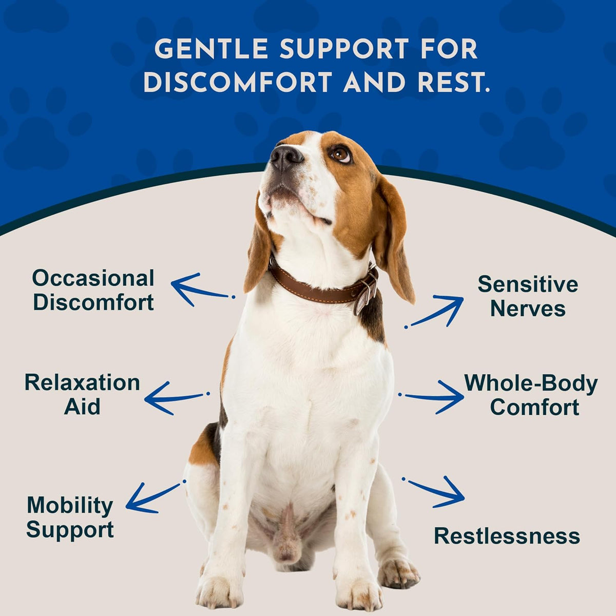 Animal Essentials Herbal Tonic Comfort Plus Manages Discomfort & Stress for Dogs & Cats