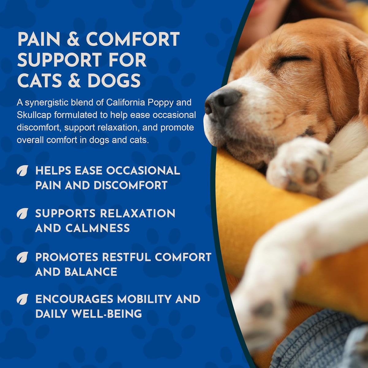 Animal Essentials Herbal Tonic Comfort Plus Manages Discomfort & Stress for Dogs & Cats