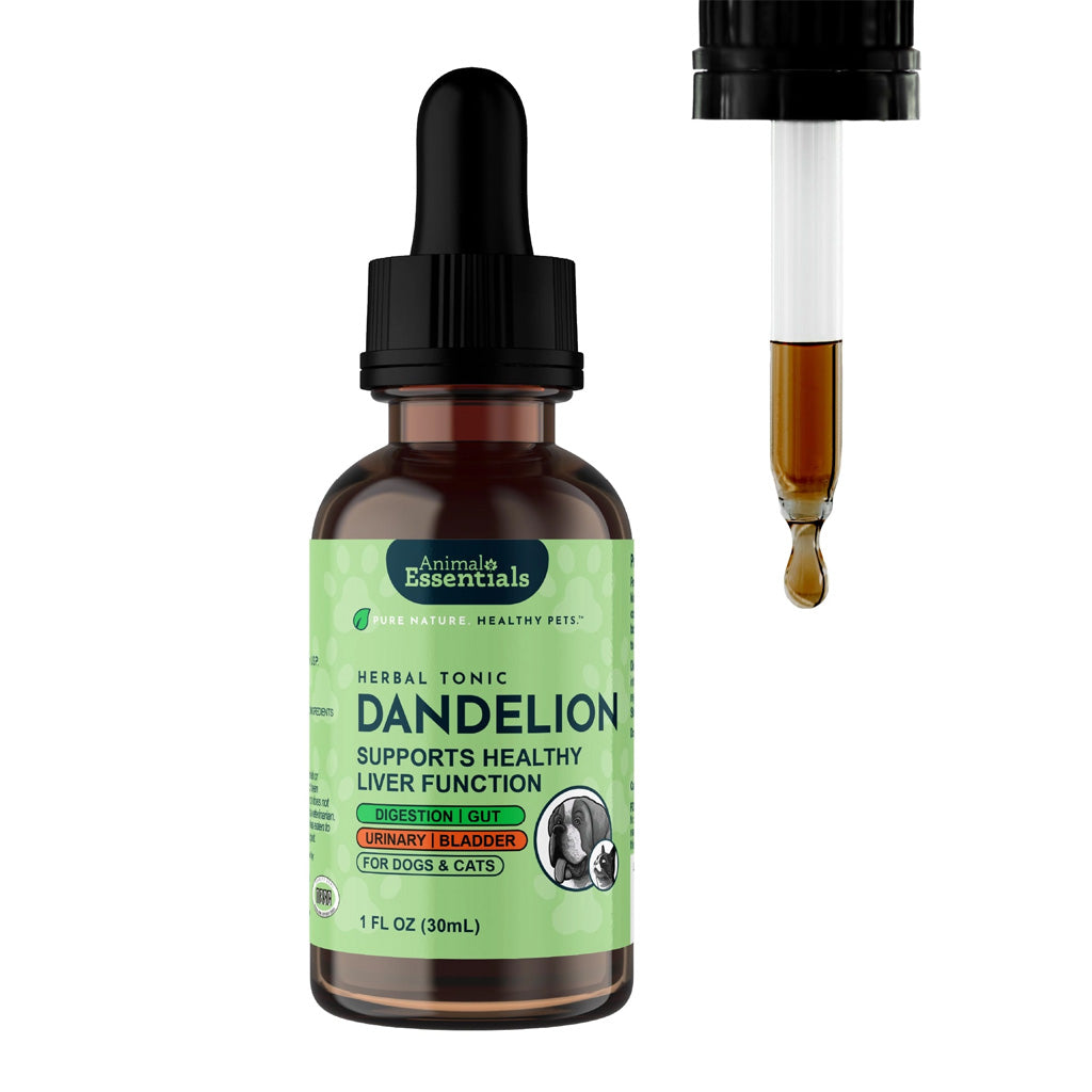 Animal Essentials Herbal Tonic Dandelion Supports Healthy Liver Function for Dogs & Cats
