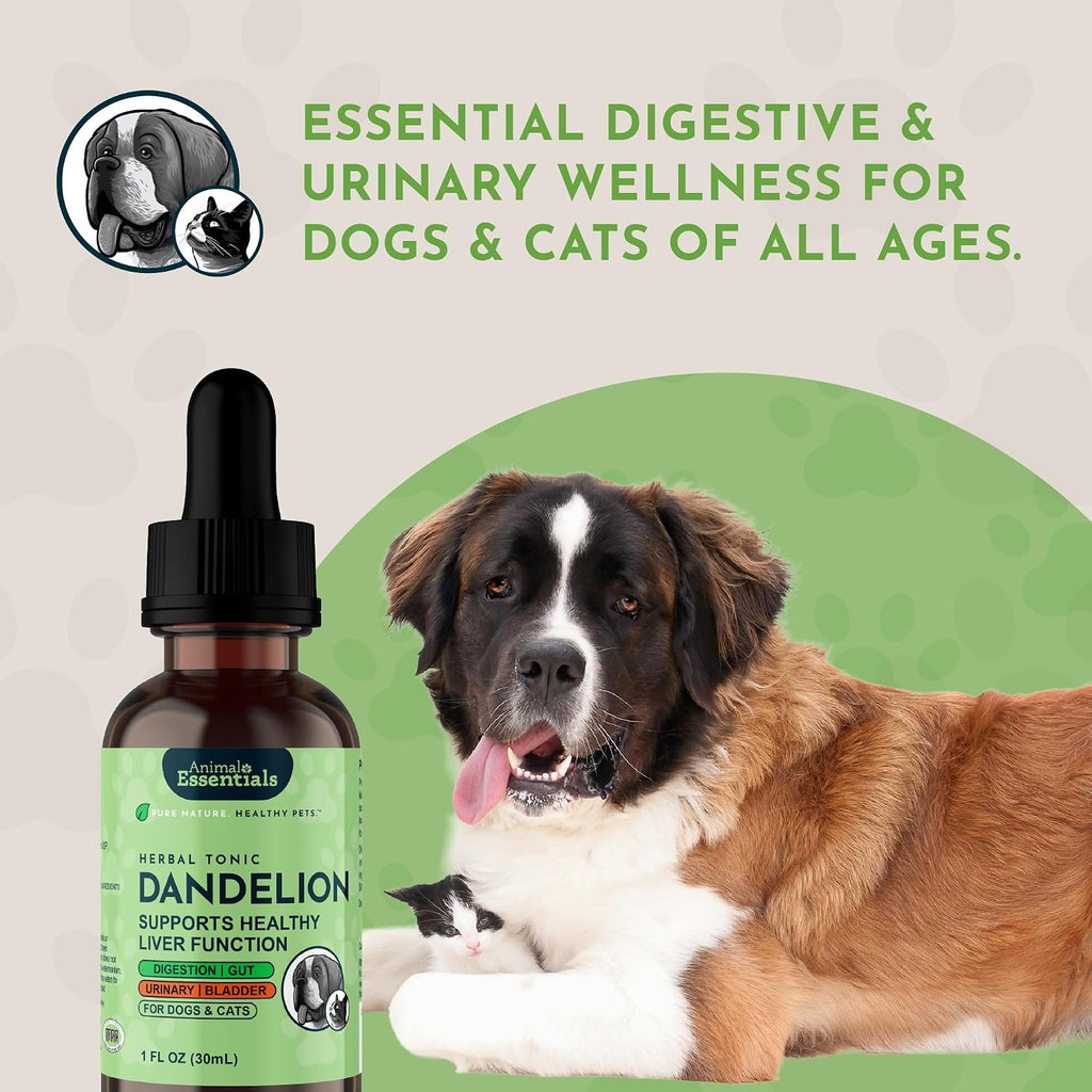 Animal Essentials Herbal Tonic Dandelion Supports Healthy Liver Function for Dogs & Cats