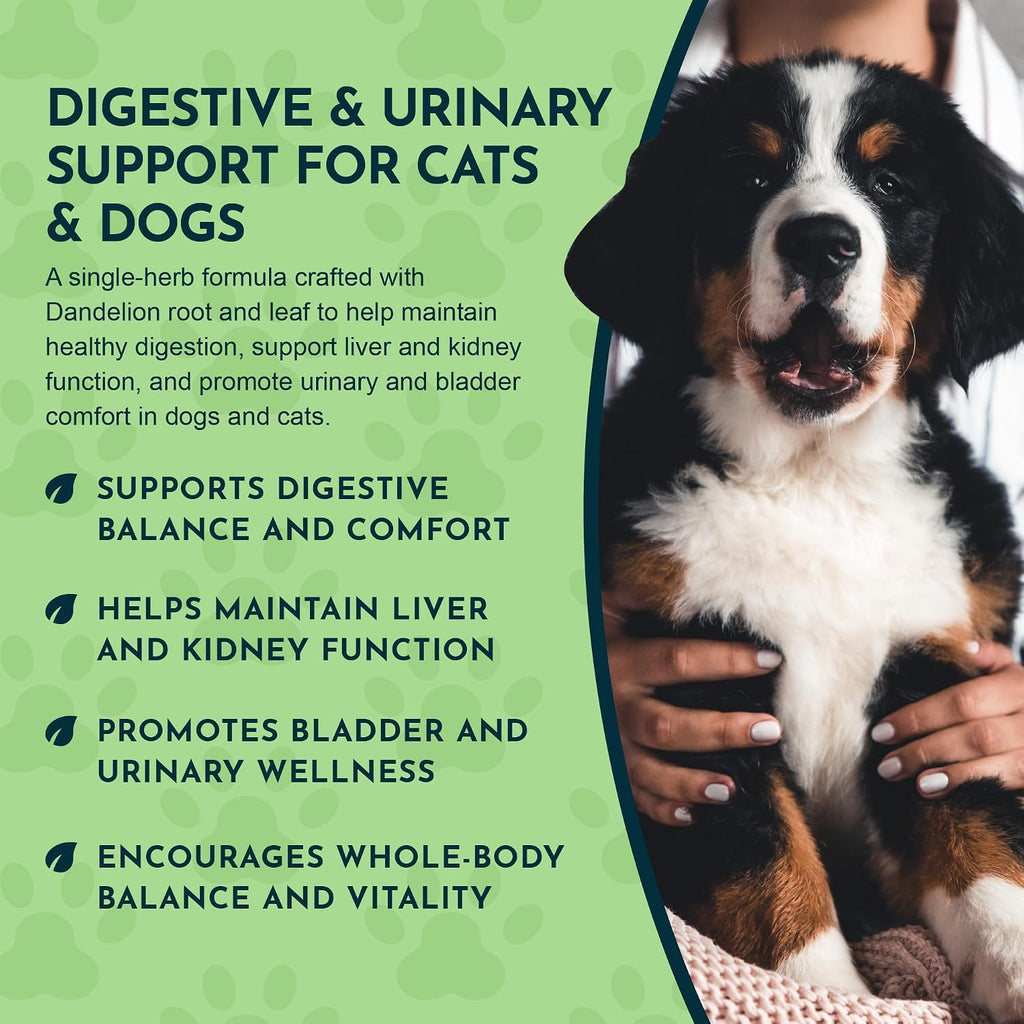 Animal Essentials Herbal Tonic Dandelion Supports Healthy Liver Function for Dogs & Cats
