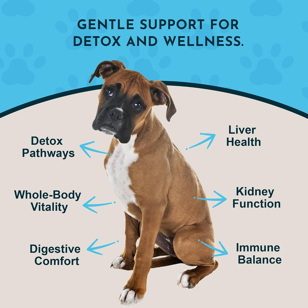 Animal Essentials Herbal Tonic Detox Blend Supports Normal Liver Detoxification for Dogs & Cats