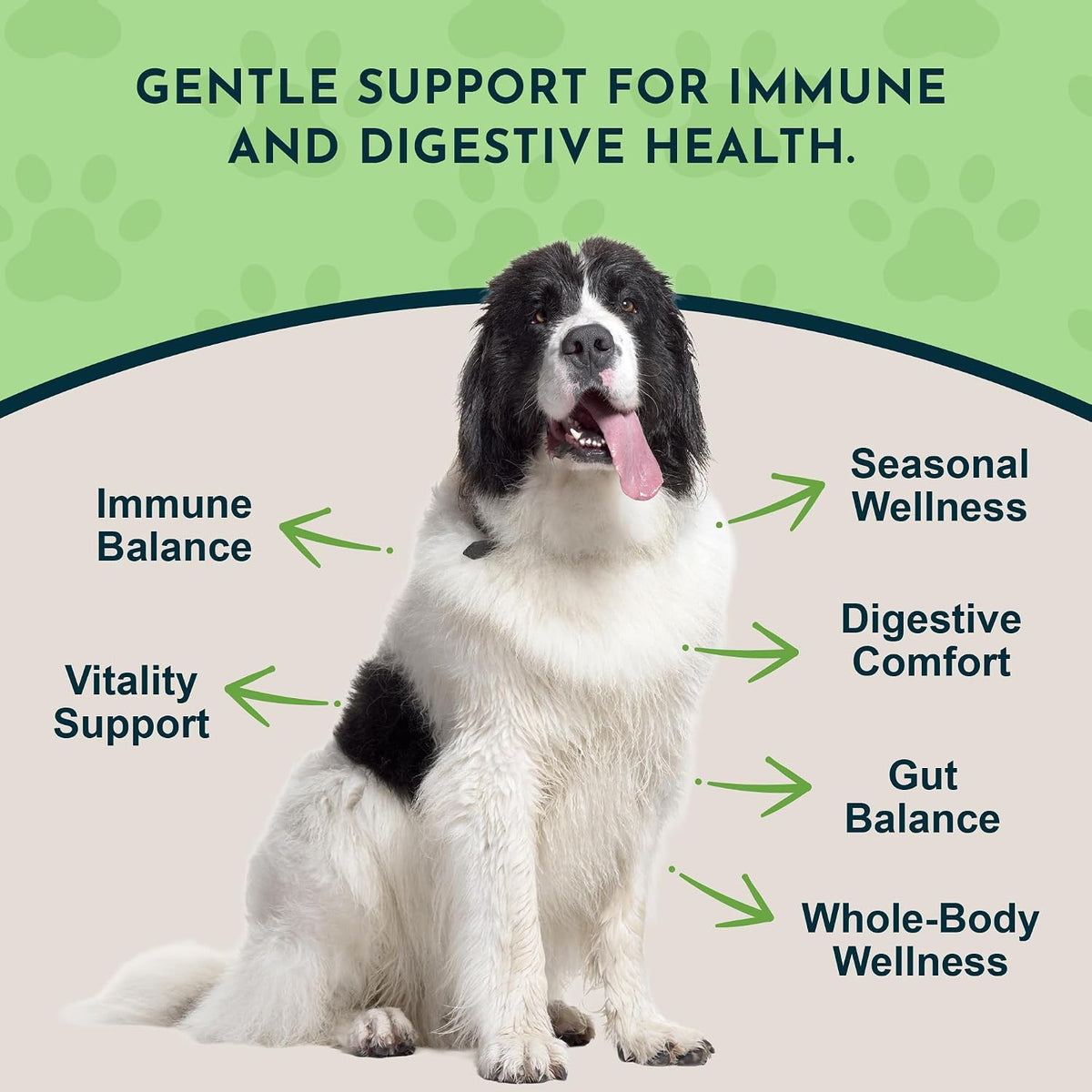 Animal Essentials Herbal Tonic Garlic Antioxidant Protection for Dogs & Cats