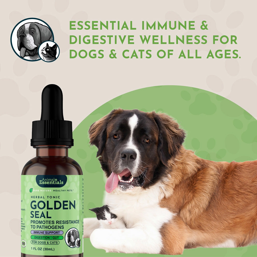 Animal Essentials Herbal Tonic Golden Seal Promotes Resistance to Pathogens for Dogs & Cats, 1-oz