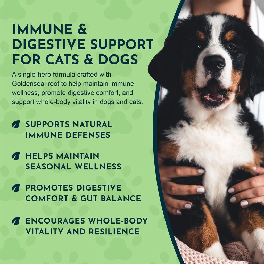 Animal Essentials Herbal Tonic Golden Seal Promotes Resistance to Pathogens for Dogs & Cats, 1-oz