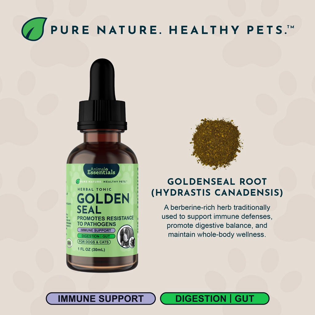 Animal Essentials Herbal Tonic Golden Seal Promotes Resistance to Pathogens for Dogs & Cats, 1-oz