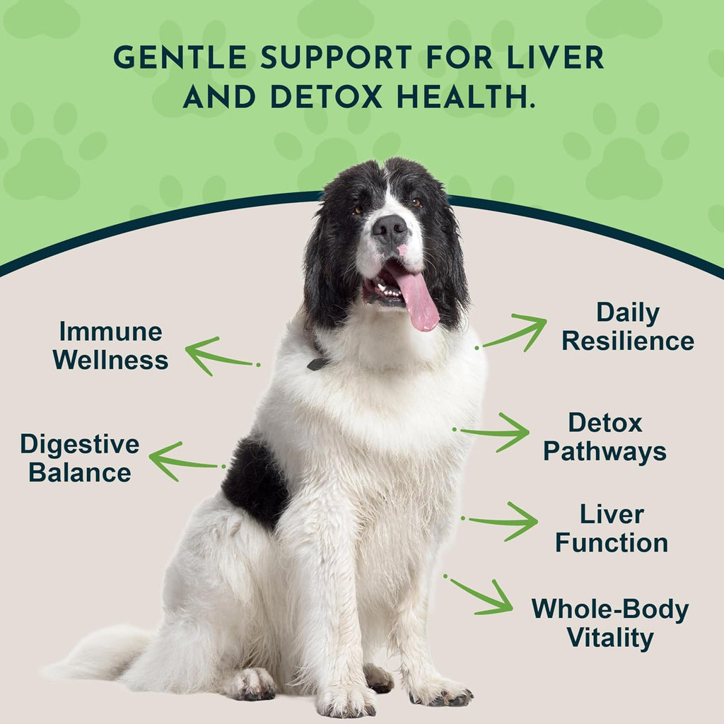 Animal Essentials Herbal Tonic Milk Thistle Supports Healthy Liver Function for Dogs & Cats
