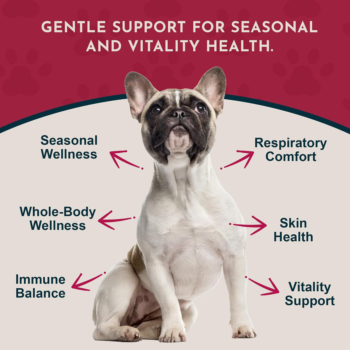 Animal Essentials Herbal Tonic Nettle Allergy Support for Dogs & Cats