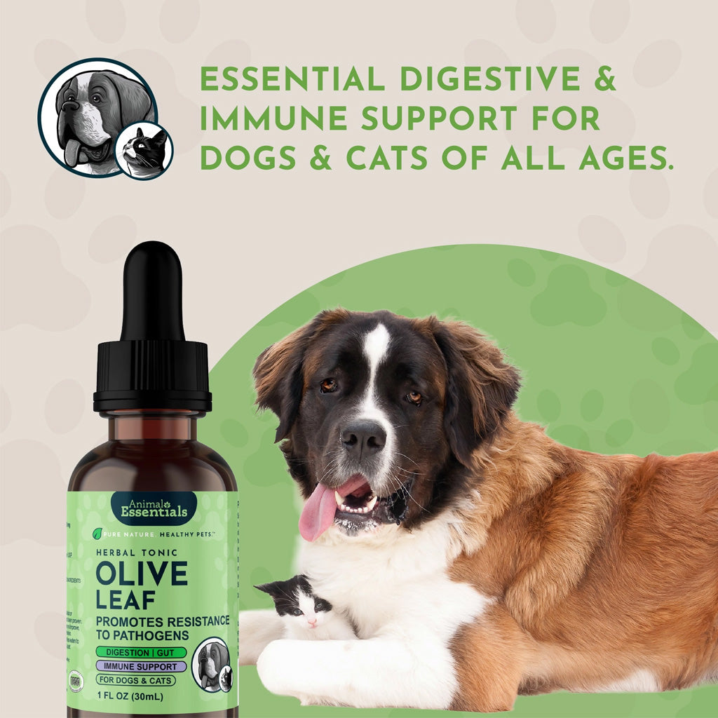 Animal Essentials Herbal Tonic Olive Leaf Promotes Resistance to Pathogens for Dogs & Cats
