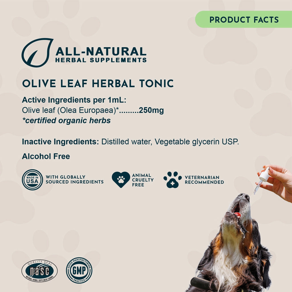 Animal Essentials Herbal Tonic Olive Leaf Promotes Resistance to Pathogens for Dogs & Cats