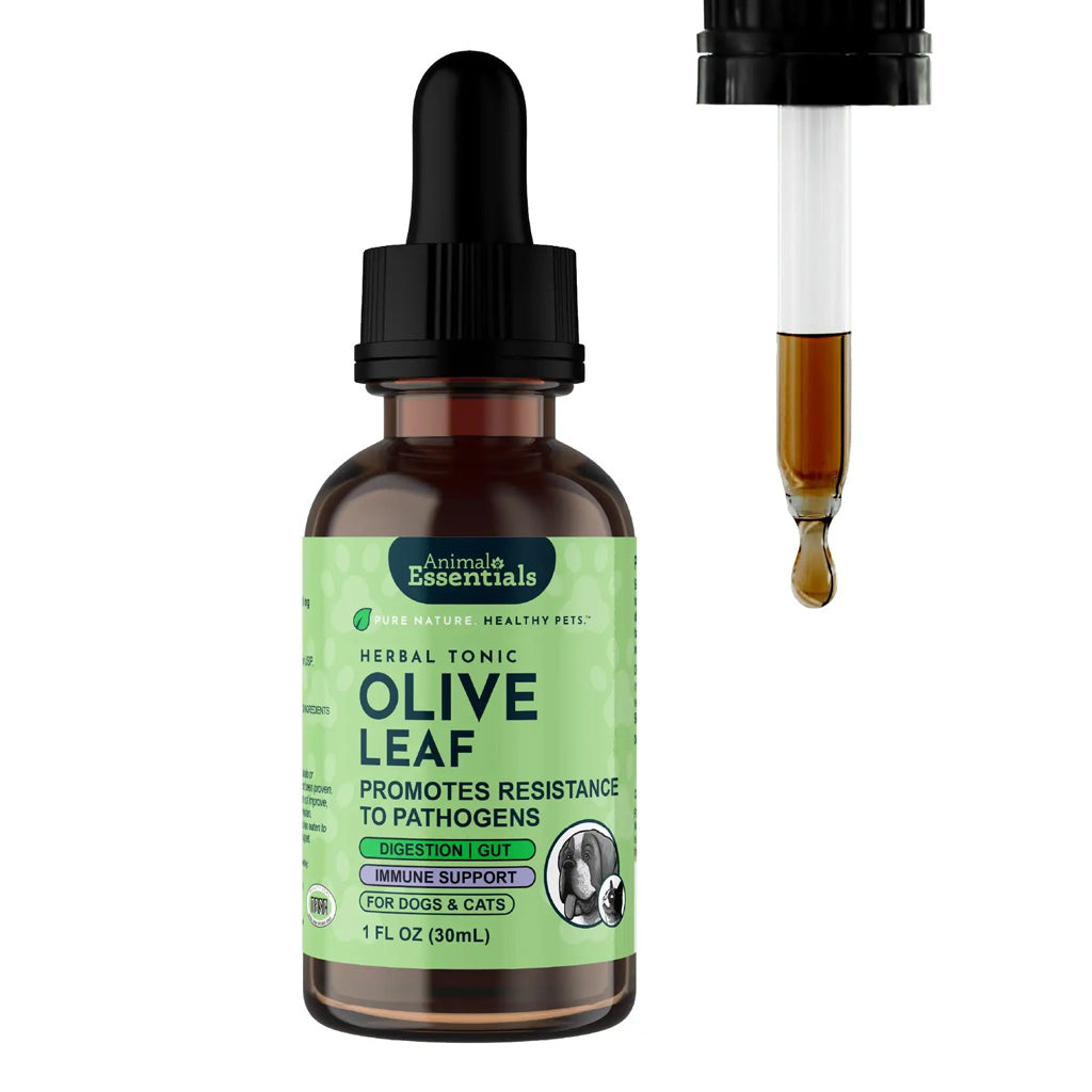 Animal Essentials Herbal Tonic Olive Leaf Promotes Resistance to Pathogens for Dogs & Cats