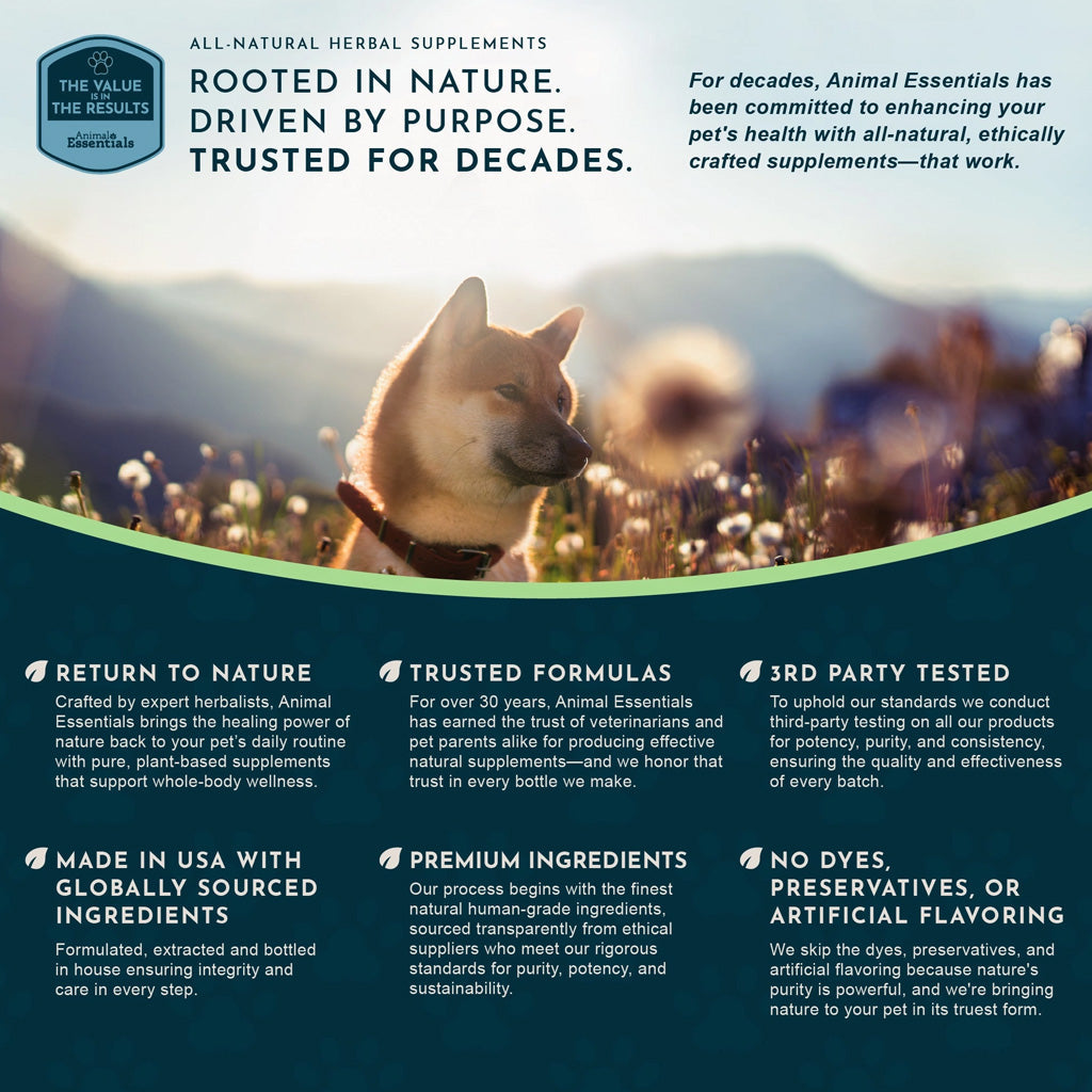 Animal Essentials Herbal Tonic Resist & Renew Boosts Immunity & Toxin Elimination for Dogs & Cats