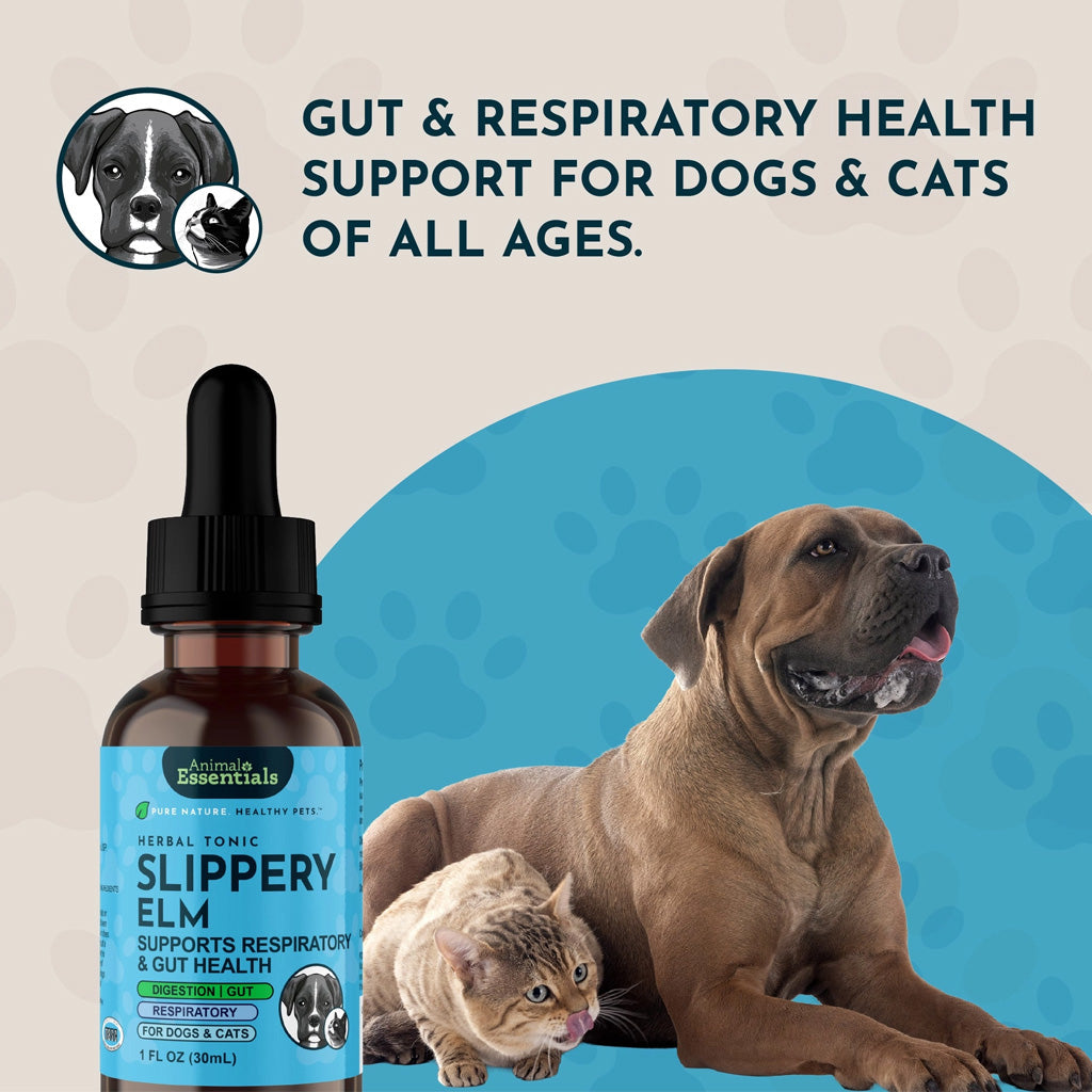 Animal Essentials Herbal Tonic Slippery Elm Supports Respiratory & Gut Health for Dogs & Cats