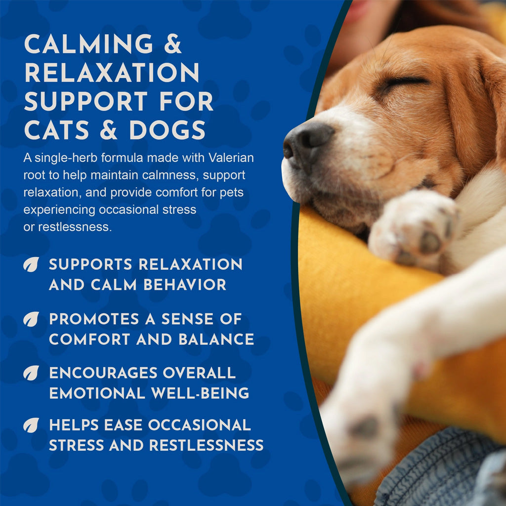 Animal Essentials Herbal Tonic Valerian Promotes Calm & Relaxation for Dogs & Cats