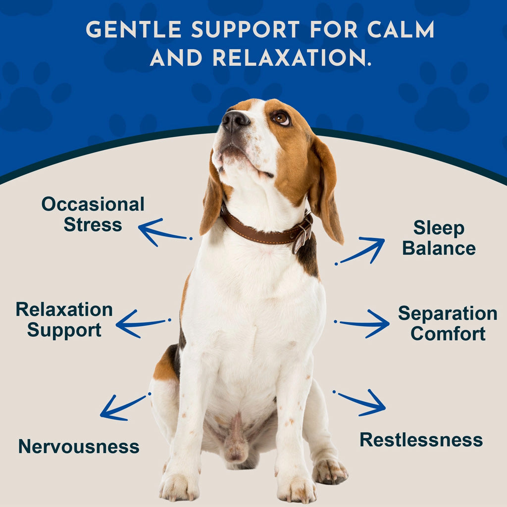 Animal Essentials Herbal Tonic Valerian Promotes Calm & Relaxation for Dogs & Cats