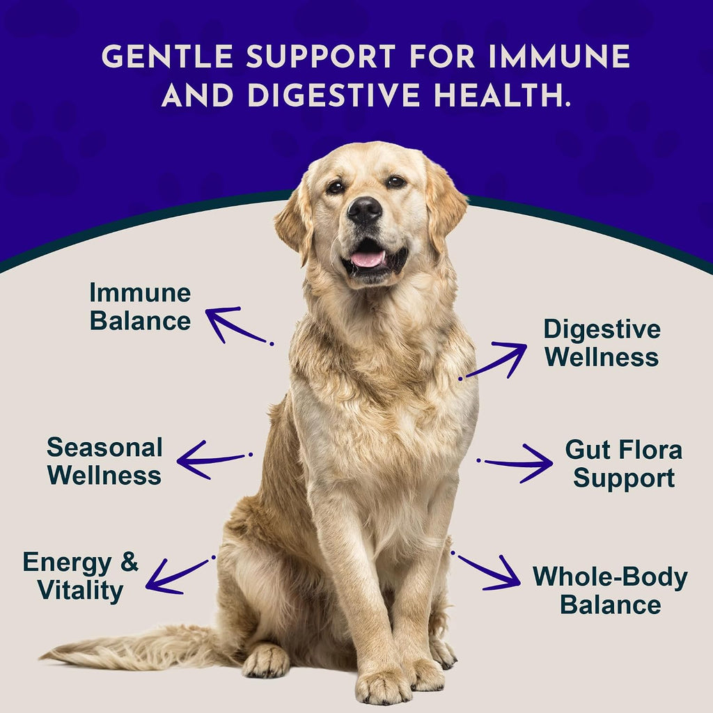 Animal Essentials Immuno Thrive Supplement Powder for Dogs & Cats, 5.3-oz
