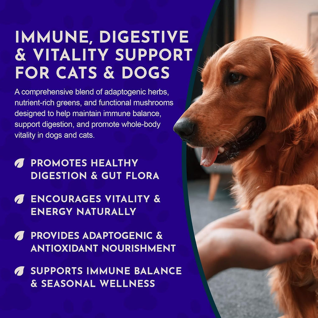 Animal Essentials Immuno Thrive Supplement Powder for Dogs & Cats, 5.3-oz