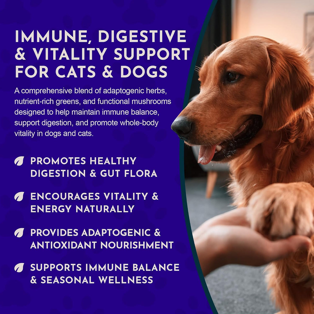 Animal Essentials Immuno Thrive Supplement Powder for Dogs & Cats, 5.3-oz
