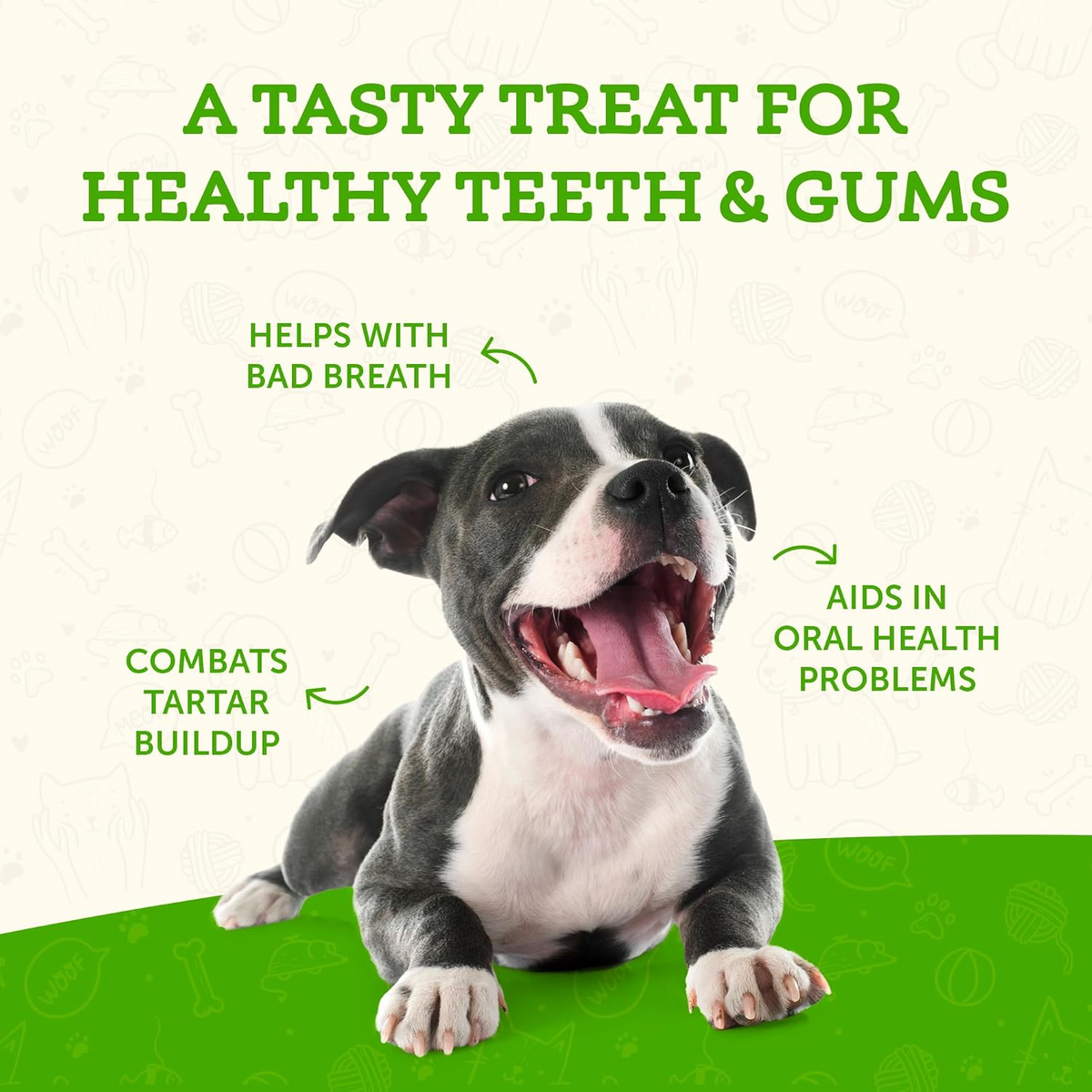 Animal Essentials Sea-Dent Anti-Plaque Powder for Dogs