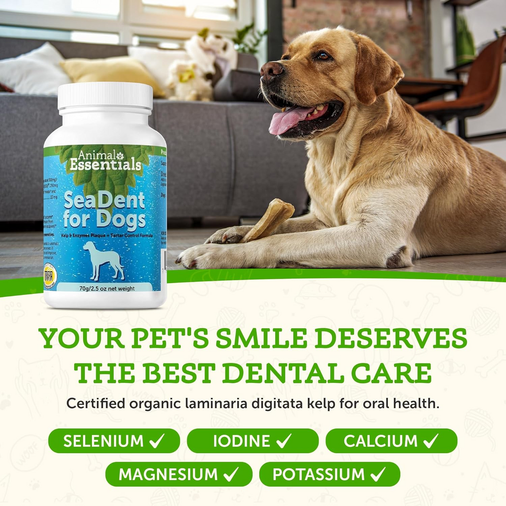 Animal Essentials Sea-Dent Anti-Plaque Powder for Dogs